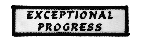 EXCEPTIONAL PROGRESS PATCH
